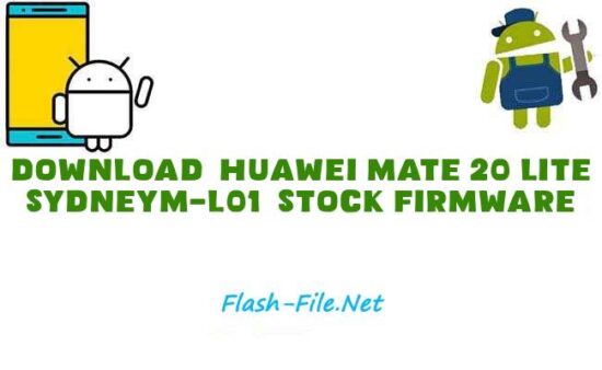 Huawei Mate 20 Lite SydneyM-L01
