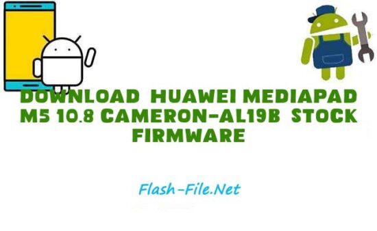 Huawei MediaPad M5 10.8 Cameron-AL19B