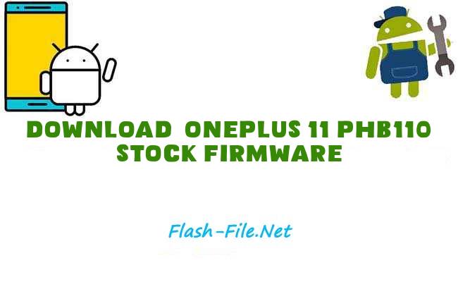 OnePlus 11 PHB110